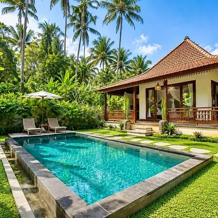 Ubud Forest Villa With Private Pool And Kitchen