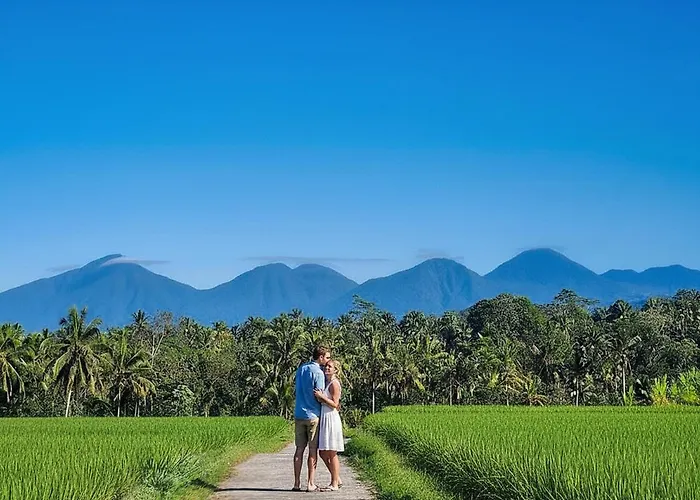 ベッド・アンド・ブレックファスト Ubud Forest With Private Pool And Kitchen *